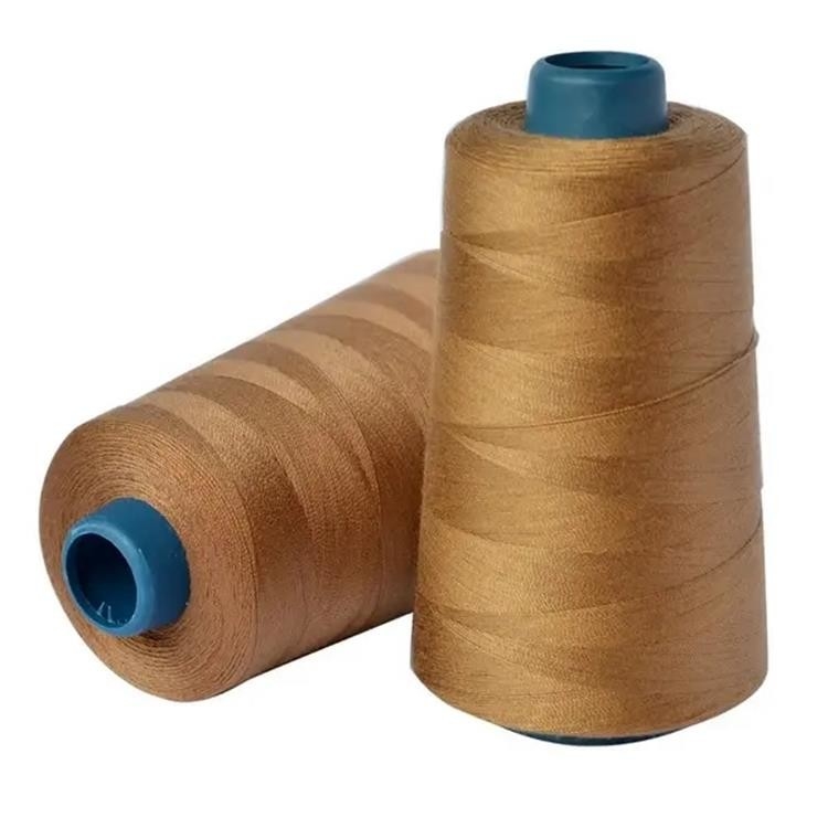 Venta caliente de hilo de costura de poliéster 20/2 30s/2 40s/2 100% de material puro Yizheng 40S2 hilo de costura de poliéster